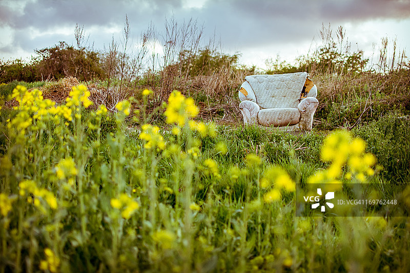 田野里撕裂的扶手椅图片素材