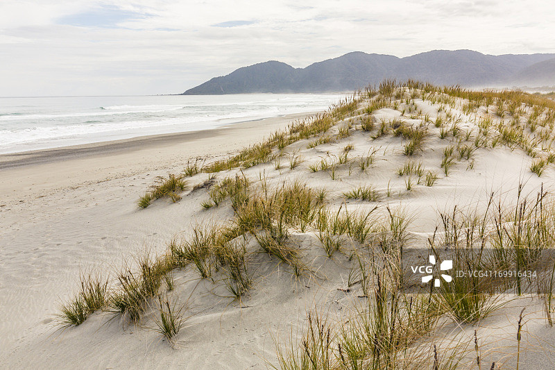 霍利福德步道马丁湾海滩的沙丘图片素材