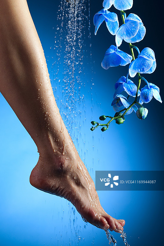 腿和蓝色兰花图片素材