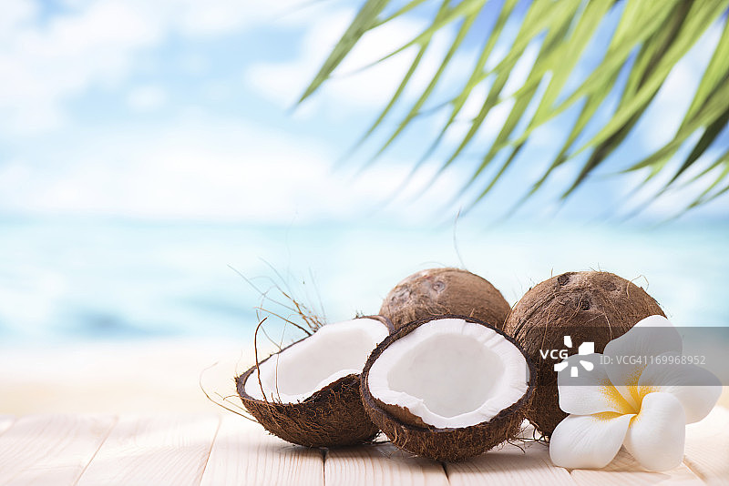 带有复制空间的沙滩椰子图片素材