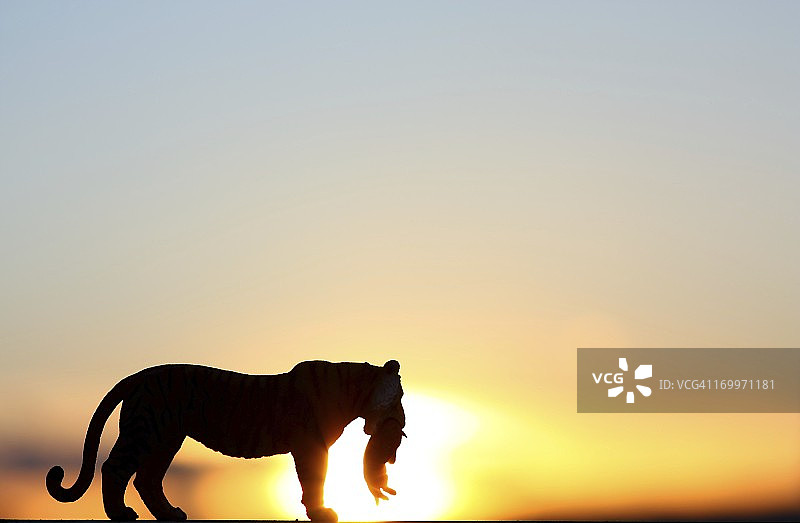 小老虎轮廓图片素材