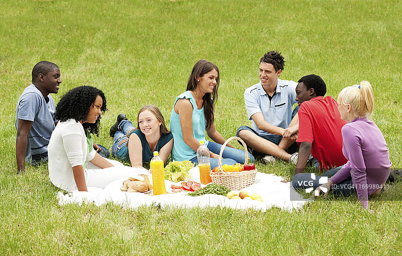 朋友们在公园里野餐图片素材