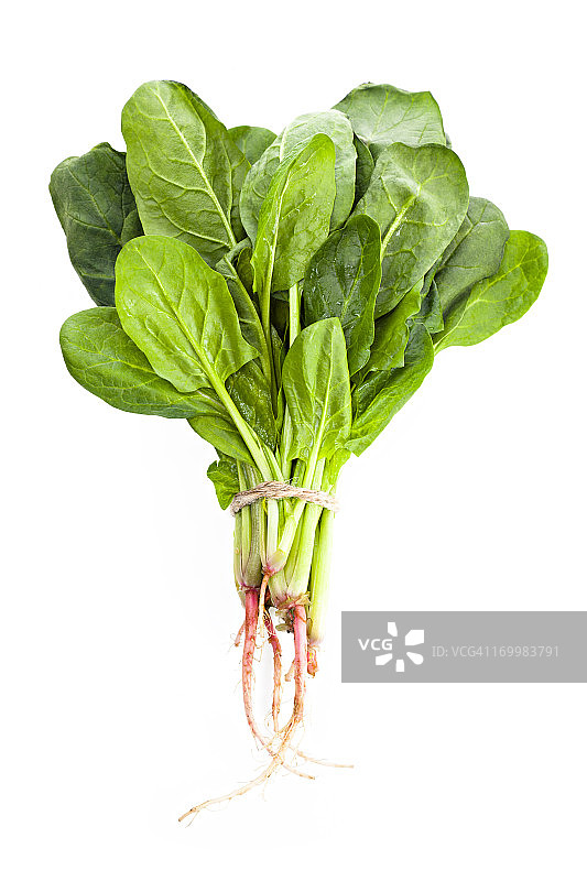 菠菜图片素材
