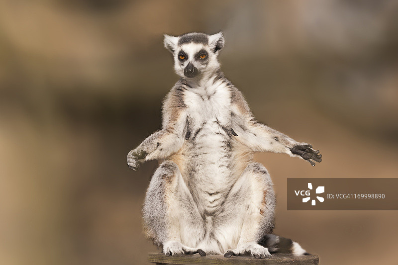 我什么也没做。图片素材