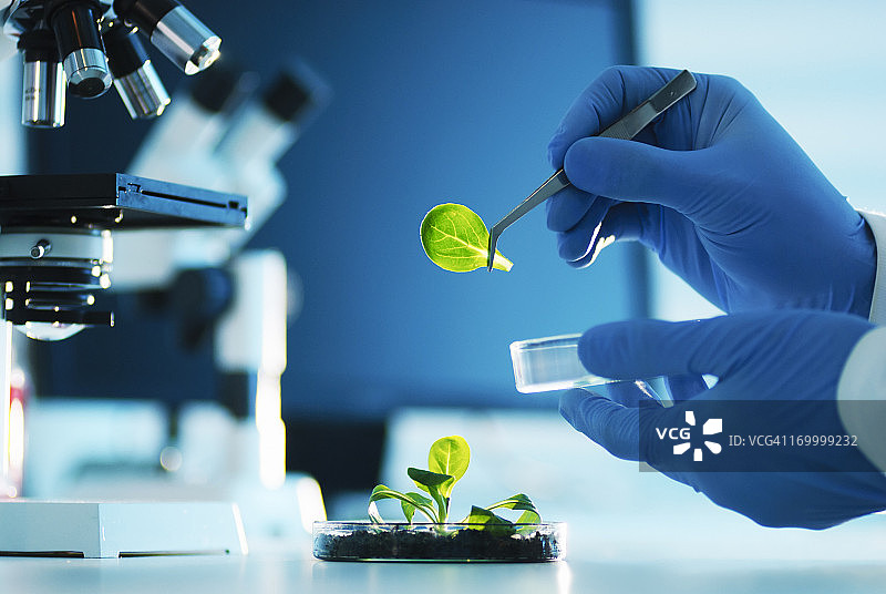 生物技术图片素材