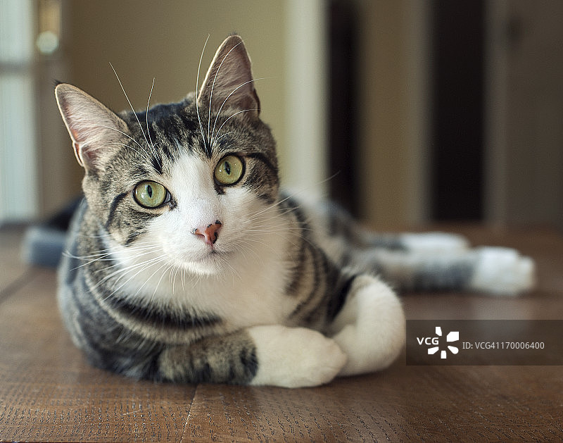 敬你，孩子。图片素材