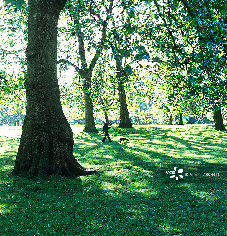 清晨公园图片素材