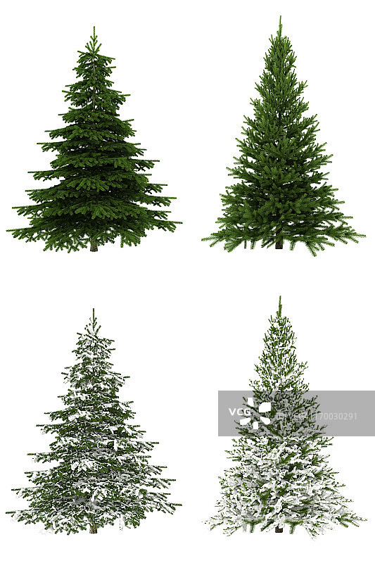 纯白色背景上的圣诞树合集（6500万像素-XXXL）图片素材