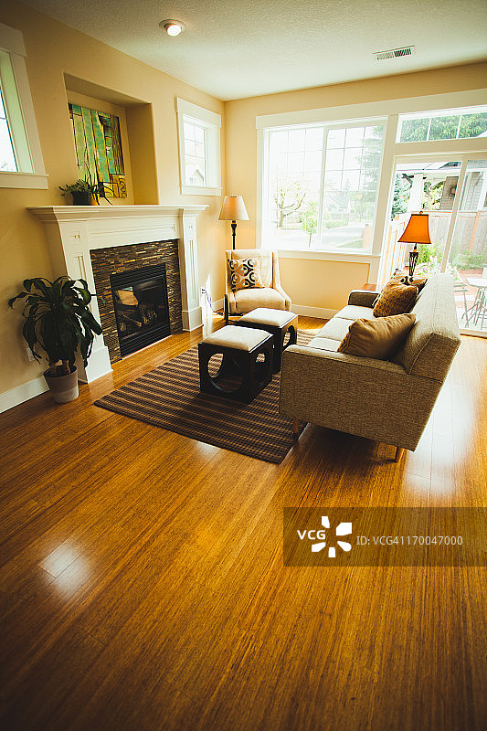 配有硬木地板和家具的豪华住宅图片素材