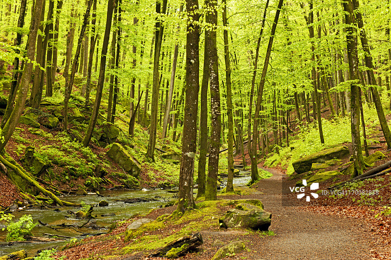 Karlsbachtal局部图片素材