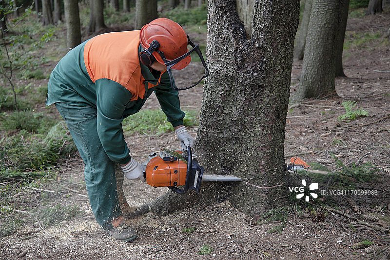 手持电锯的林业工人图片素材