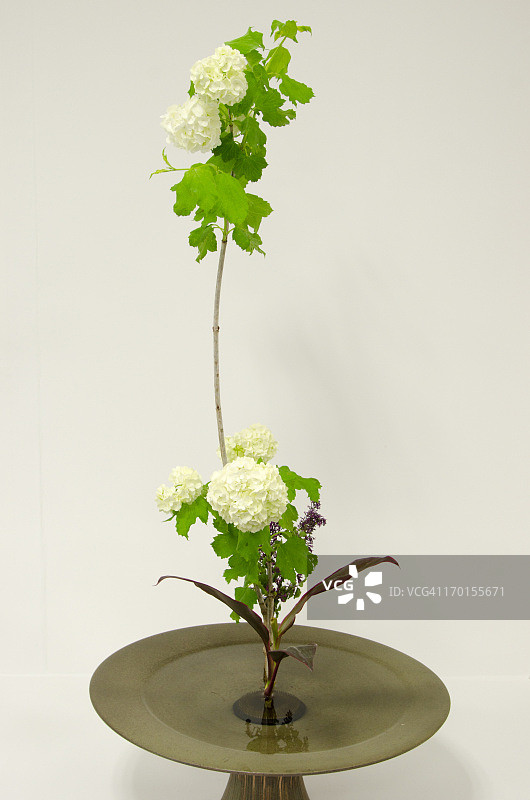 日式插花图片素材