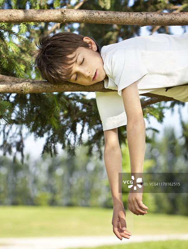 孩子在树枝上睡觉（竖版）图片素材