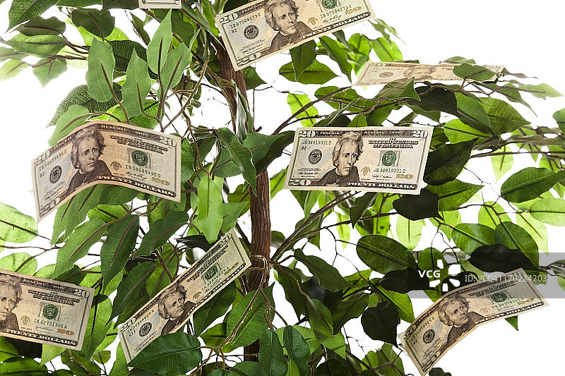 金融，树上长钱图片素材