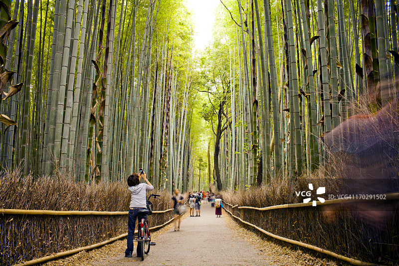 在京都竹林中穿行的人们图片素材