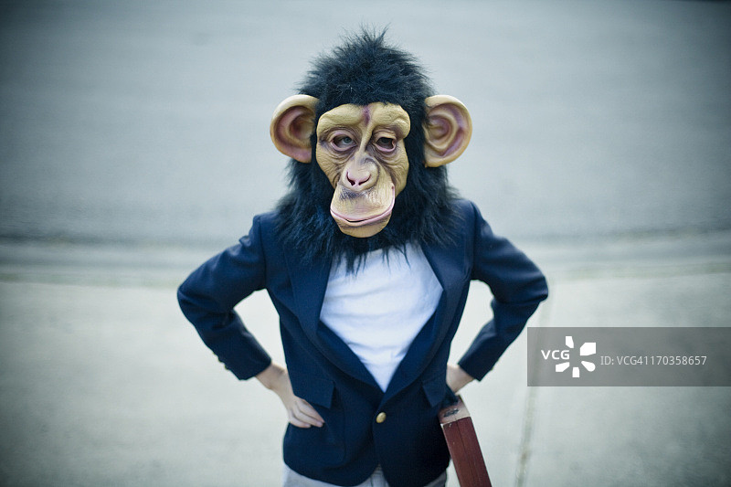 猴子生意图片素材