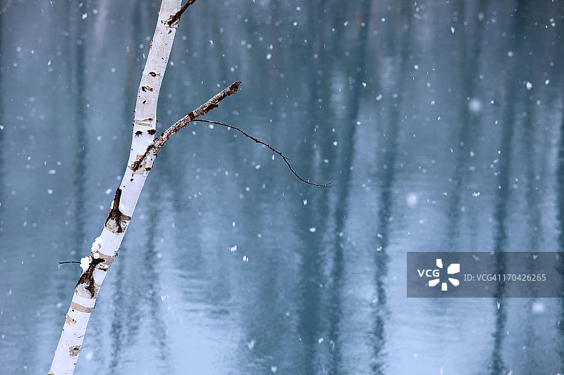 蓝色池塘上的雪景图片素材