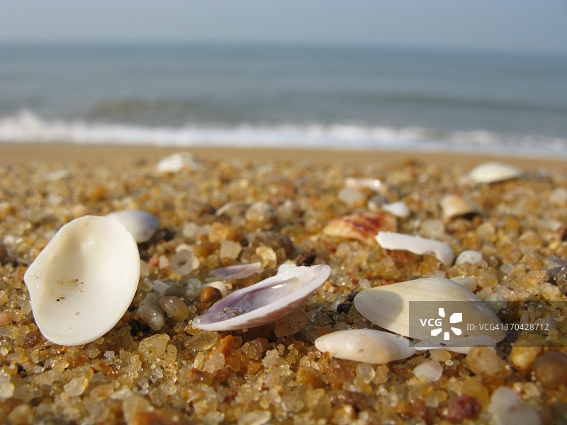 偏远海滩上的海螺图片素材