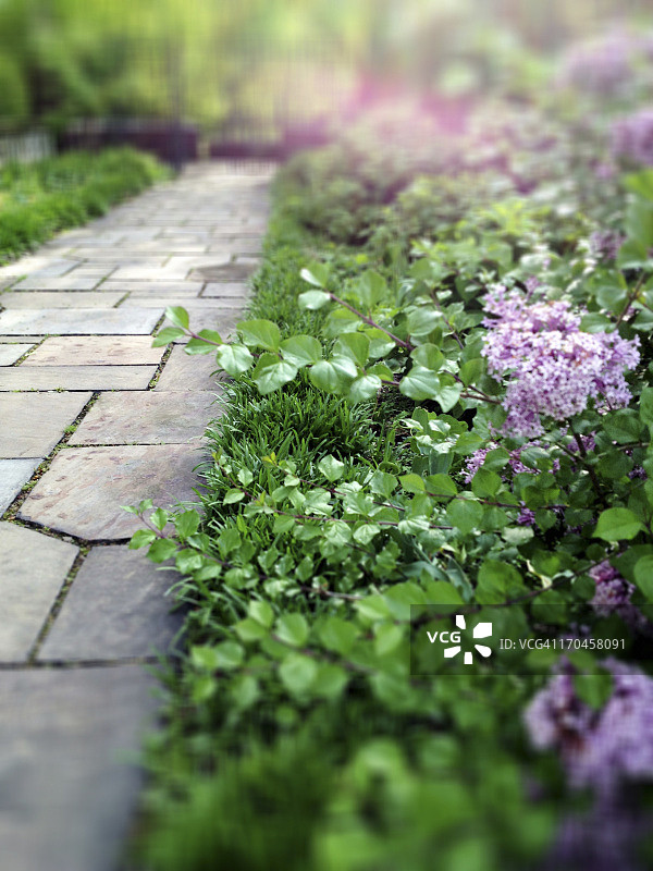 秘密花园图片素材