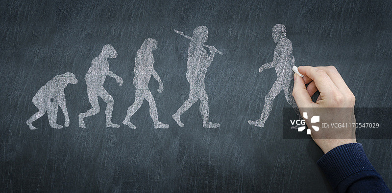 黑板上的进化过程示意图图片素材