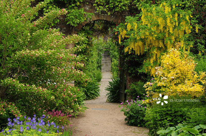 英国春季花园图片素材