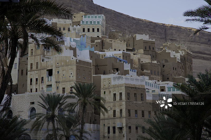 棕榈树和泥砖房村庄图片素材