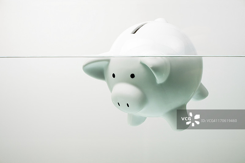 沉入水中的白色小猪储蓄罐图片素材