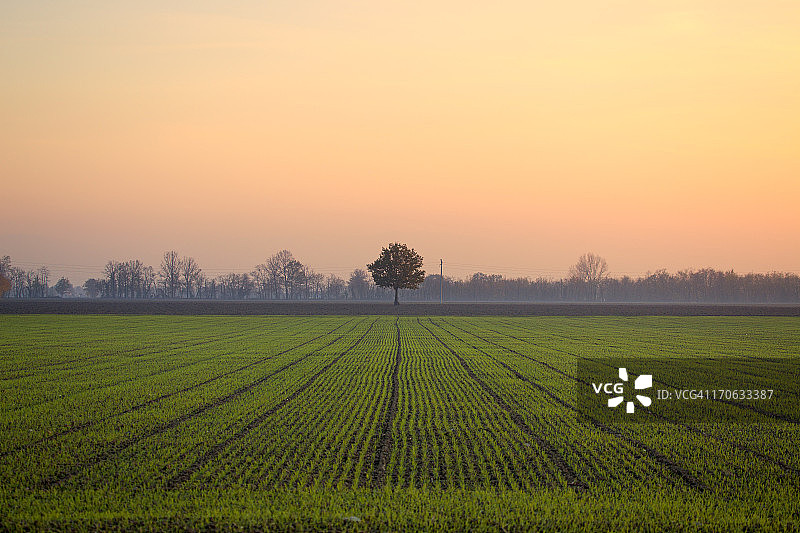 波河平原图片素材