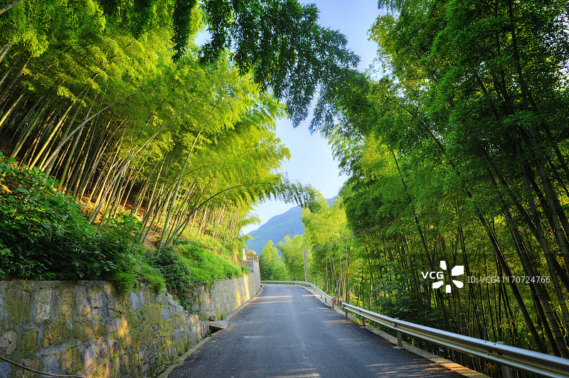 林山竹林中的清新道路图片素材