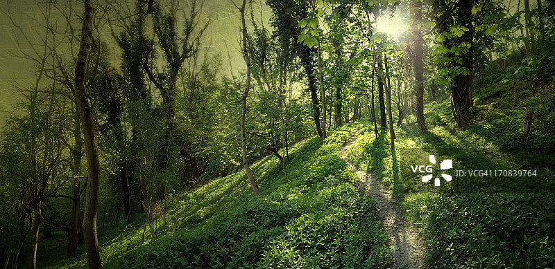 通往索尔兹伯里平原顶峰的小路图片素材