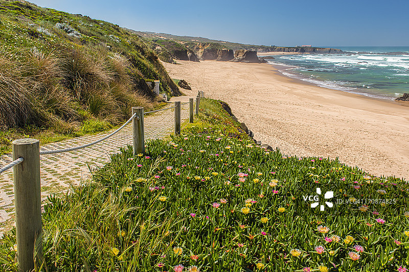 葡萄牙海滩走道旁的花卉图片素材