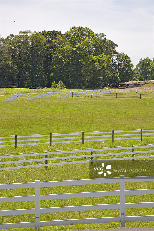 围栏上方的草地、树木和天空图片素材