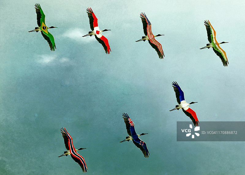 群鸟在天空飞翔，代表全球商业概念插画图片素材