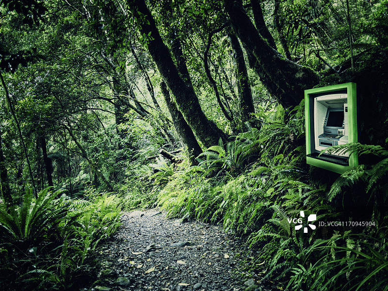 绿色钞票图片素材