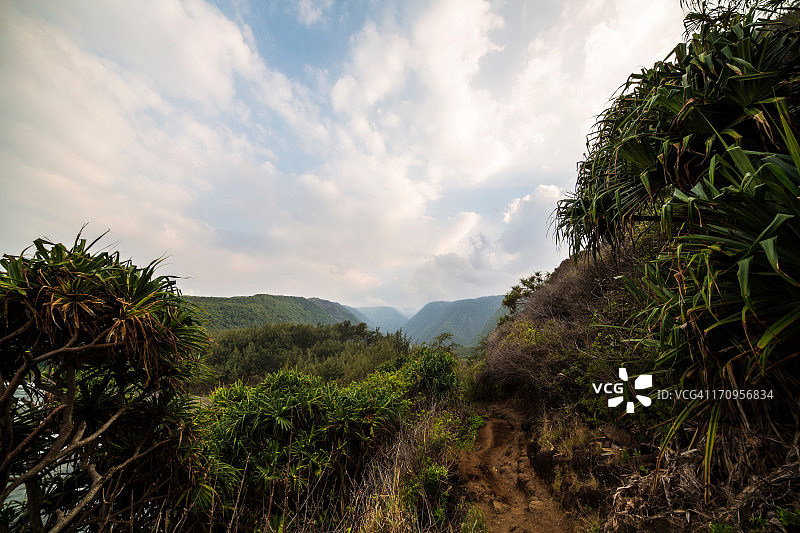 美国夏威夷大岛波olu山谷图片素材