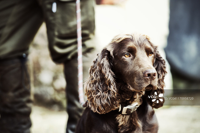 护林员和狗站立图片素材