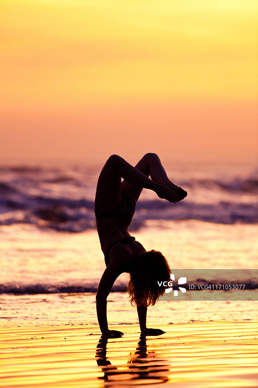 蝎子姿势图片素材