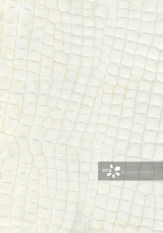 高清白色皮革图片素材