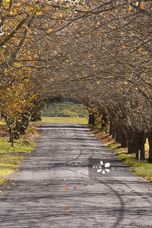 回家路图片素材