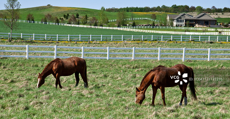 威斯康星州马场图片素材