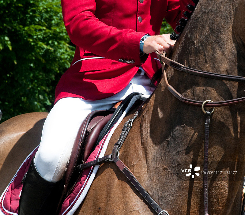 骑手和马图片素材