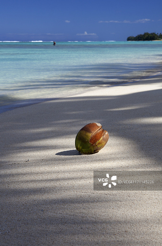 拉罗汤加岛的椰子海滩图片素材