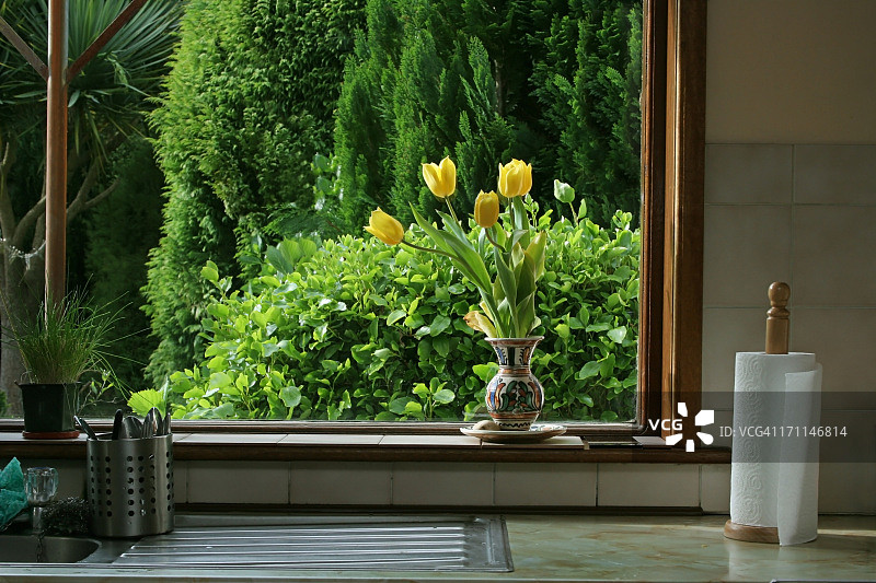 厨房窗户上的郁金香图片素材