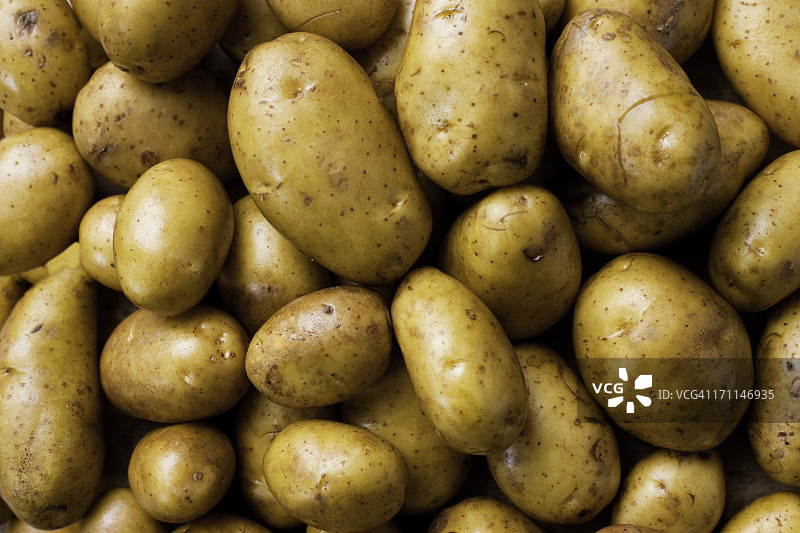 土豆图片素材