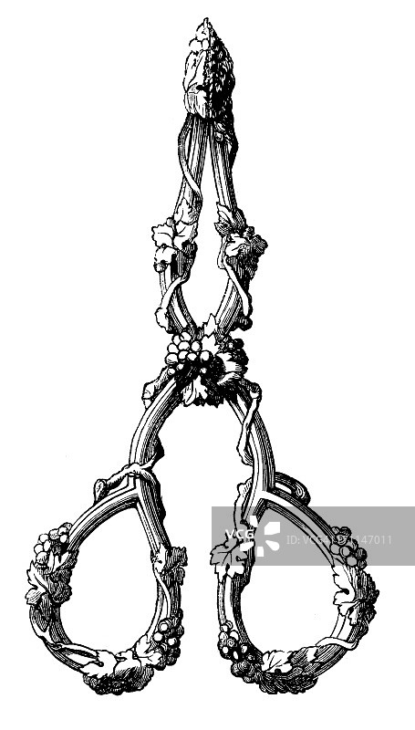 维多利亚时代钳子古董设计插画图片素材