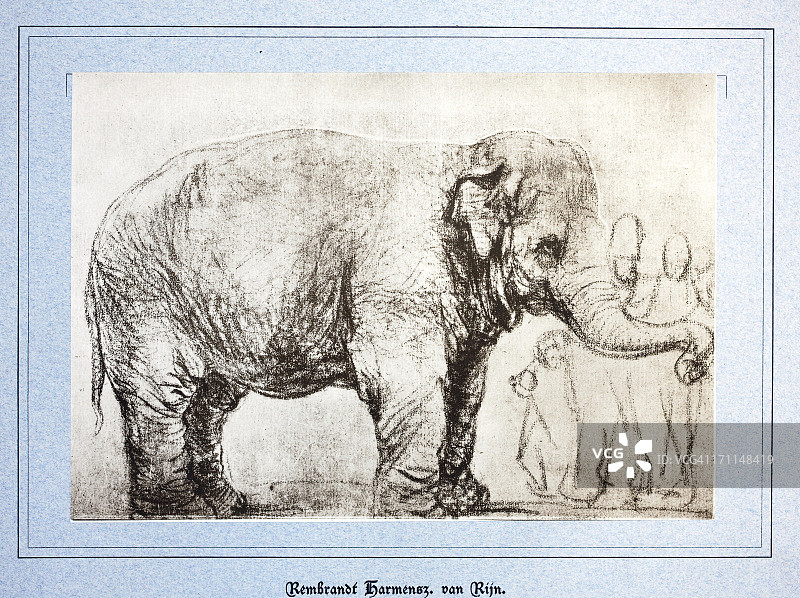 伦勃朗素描图片素材