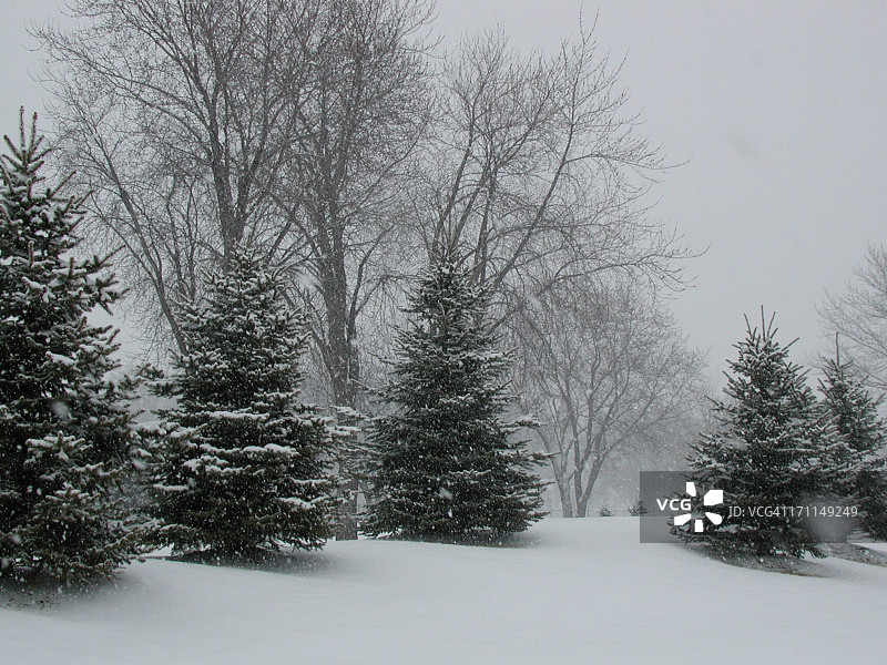 明尼苏达州的冬天2图片素材