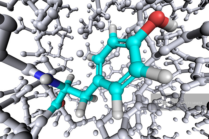 氨基酸酪氨酸图片素材