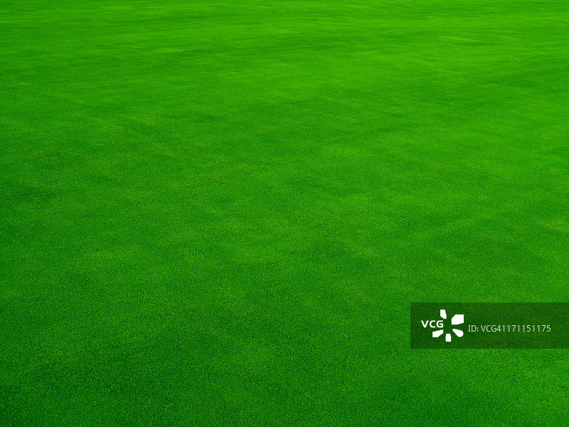 真实的推杆果岭图片素材