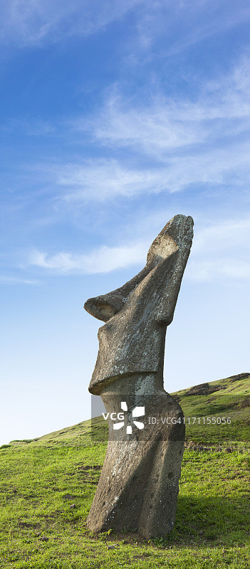 智利复活节岛拉诺拉拉库的摩艾石像图片素材
